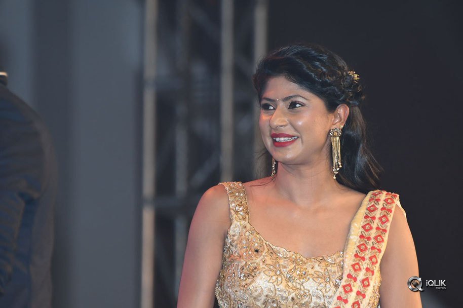 Fashion-Designer-Movie-Pre-Release-Function